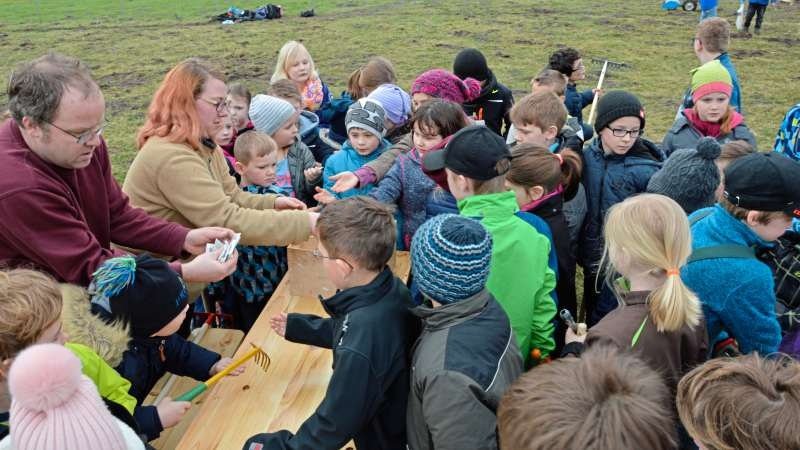 Die Grundschule Westerhausen holt sich begeistert das Saatgut ab