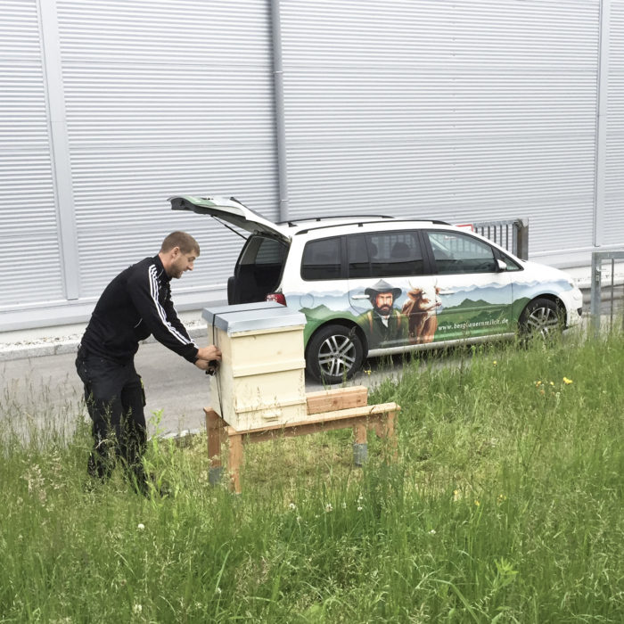 Aufbau Bienenstöcke