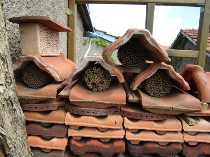 Vermietung der Wildbienen-Wohnungen läuft auf Hochtouren