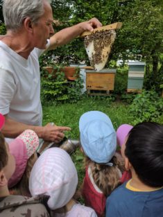 Zu allererst haben wir das Zuhause der fleißigen Bienen in der Imkerei Andreas Pixis besucht!