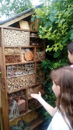 Insektenhotel für Wildbienen