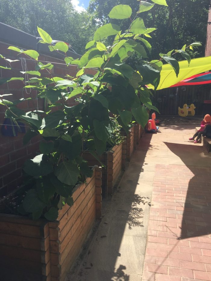 Im Kindergarten Außengelände wurde fleißig gepflanzt.