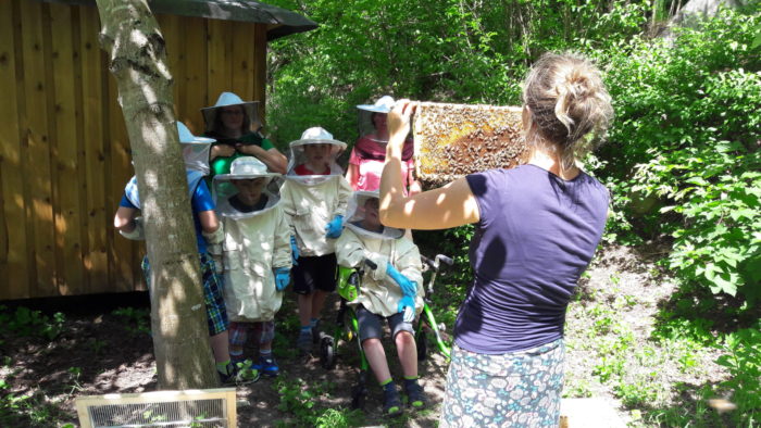Wie ales begann: In unserer Bienen-AG beobachten wir gerne Bienen…
