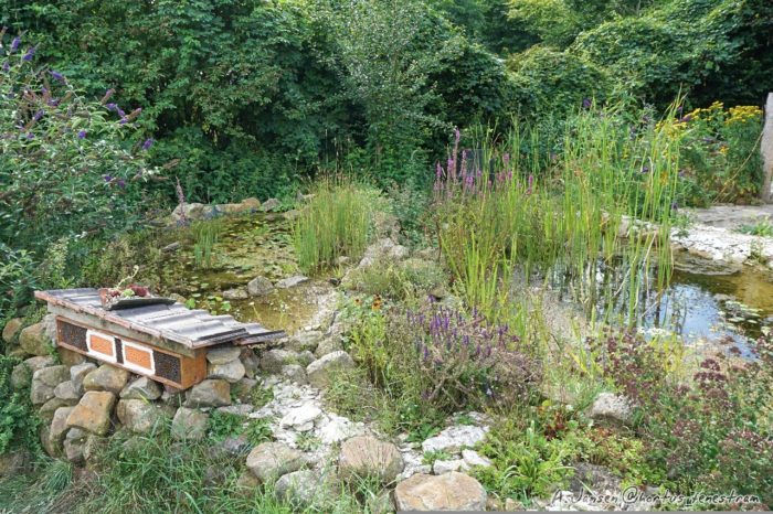 Wildbienenhotel bauen im Hortus Fenestram