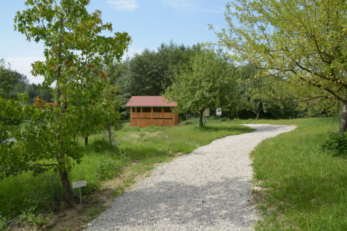 Das Bienenhaus ist fertig: Platz für 8 Bienenvölker – ausser Konkurrenz –