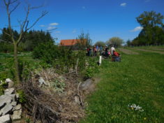 Aktionstag im Frühjahr