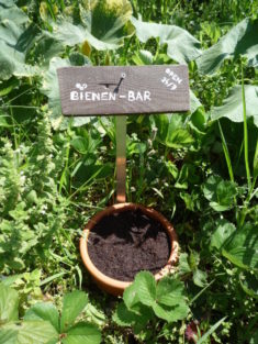 Bienen-Bar