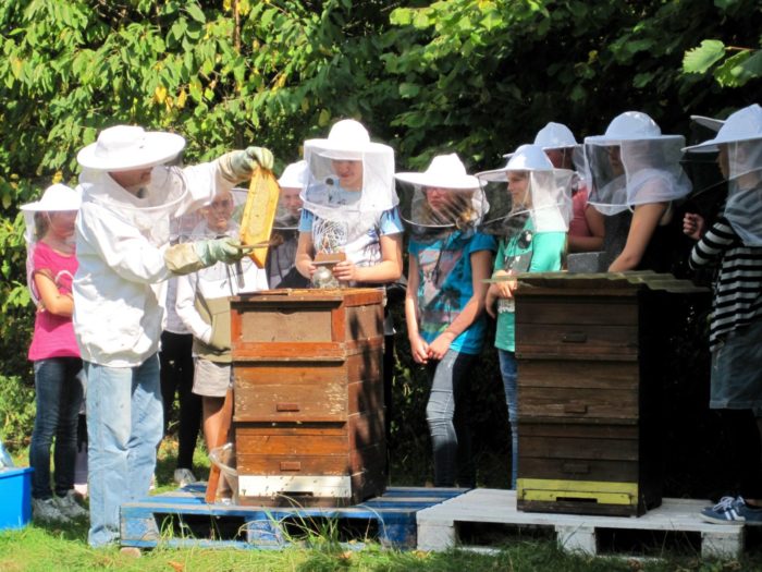Ein Herz und Platz für Honigbienen