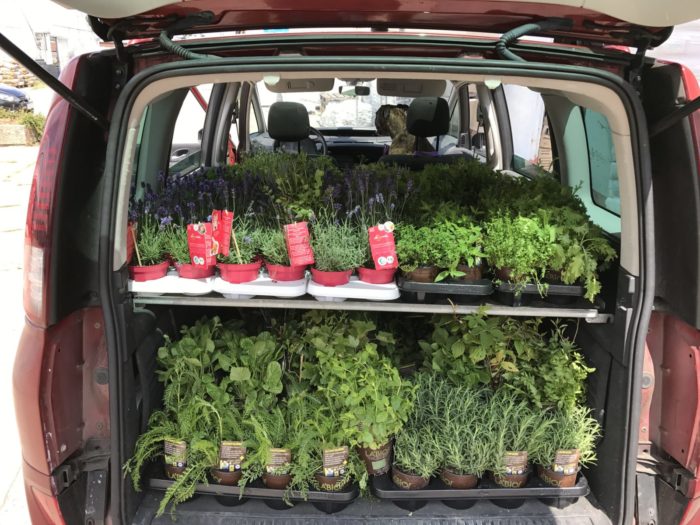 250 Pflanzen in einem Van