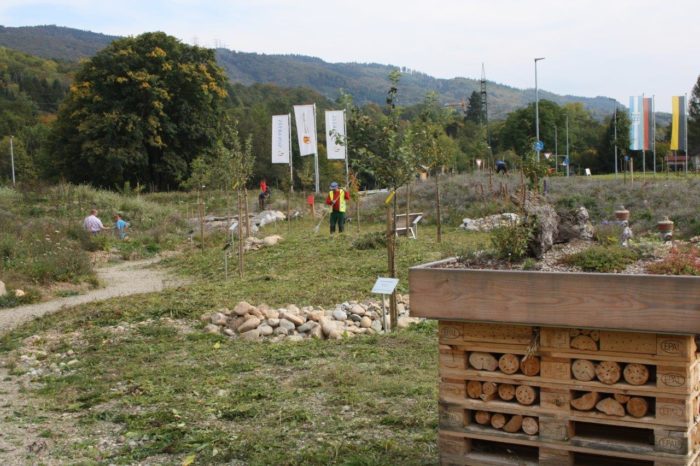 Natur-Erlebnispark Novartis: Zwiebelpflanzaktion